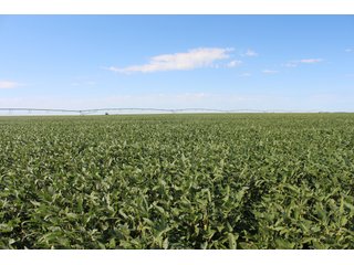 Tract 3 - Edwards County, KS farmland - LAND AUCTION - 647+/- ACRES OFFERED IN 4 TRACTS IN RENO & EDWARDS COUNTY, KANSAS